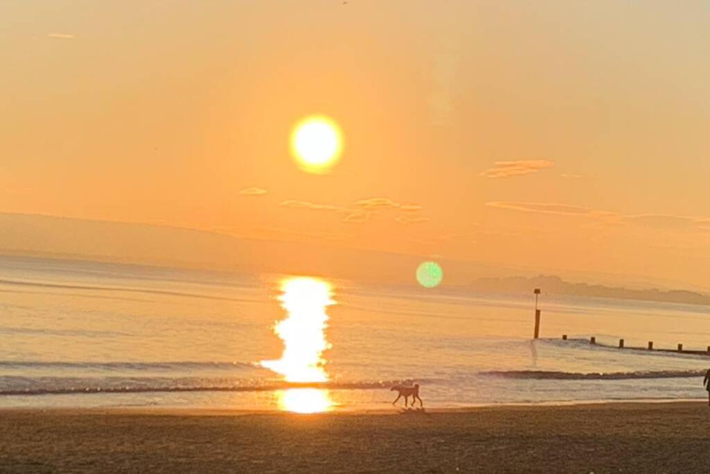 Bournemouth Nr Town Beach Train Coach Shops Lovely Entire Apartment Allows Quiet Good Dogs Екстер'єр фото