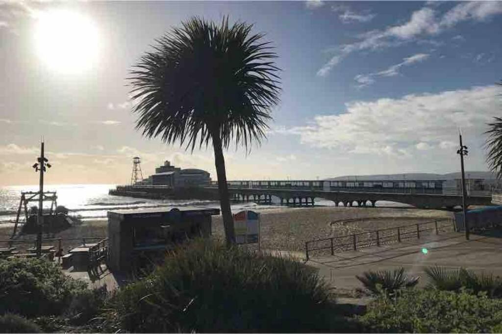 Bournemouth Nr Town Beach Train Coach Shops Lovely Entire Apartment Allows Quiet Good Dogs Екстер'єр фото