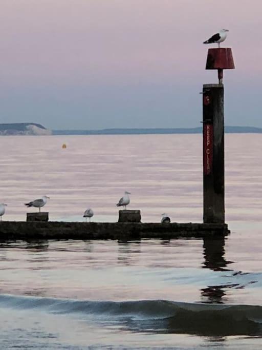 Bournemouth Nr Town Beach Train Coach Shops Lovely Entire Apartment Allows Quiet Good Dogs Екстер'єр фото